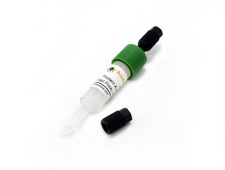 Protein A Agarose (Fast Flow, 1ml)预装柱